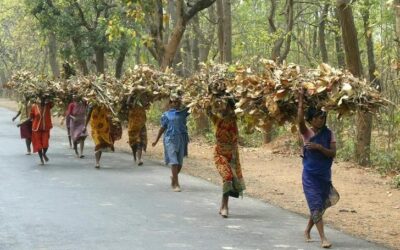ଶତାବ୍ଦୀର ଅନ୍ୟାୟ