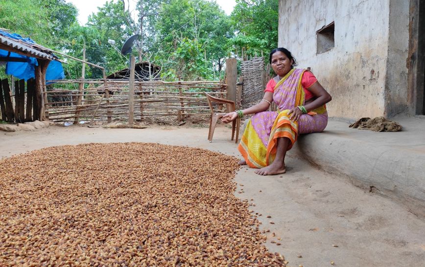 ଜଙ୍ଗଲ, ଜୀବିକା ଓ ବନବାସୀ: ଓଡ଼ିଶାରେ ଲଘୁ ବନଜାତ ଦ୍ରବ୍ୟ ନିର୍ଭରଶୀଳତାର ଏକ ଅଧ୍ୟୟନ