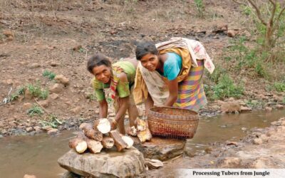 ଜଙ୍ଗଲର ଅଣ-କୃଷି ଖାଦ୍ୟଦ୍ରବ୍ୟ:ଓଡ଼ିଶାରେ ଆଦିବାସୀଙ୍କ ସ୍ୱାସ୍ଥ୍ୟ, ଖାଦ୍ୟ ସୁରକ୍ଷା ଓ ସାର୍ବଭୌମତ୍ୱର ଭଣ୍ଡାର