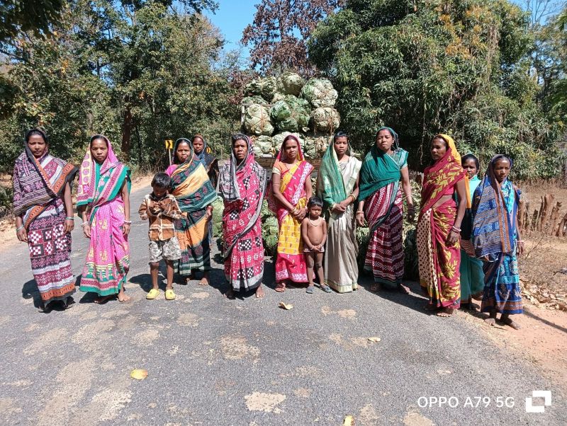 ଜଙ୍ଗଲ ଅଧିକାର ଆଇନ ପରିପ୍ରେକ୍ଷୀରେ ବୈପାରୀଗୁଡାରେ କେନ୍ଦୁପତ୍ର ଉପରେ ଅଧିକାର : ଏକ ଅନୁଶୀଳନ