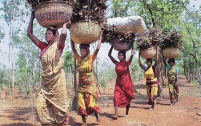 କଳାହାଣ୍ଡି ଜିଲ୍ଲାରେ ଜଙ୍ଗଲ ଅଧିକାର ଆଇନ ମାଧ୍ୟମରେ ଜୀବନମାନରେ ବିକାଶ