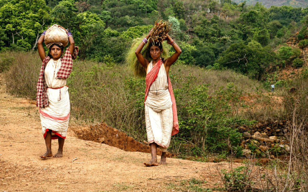 ଗୋଷ୍ଠୀ ଜଙ୍ଗଲ ସଂରକ୍ଷଣ: ପ୍ରମୁଖ ଆହ୍ୱାନ ଏବଂ ଆଗକୁ ବଢ଼ିବାର ରାସ୍ତା