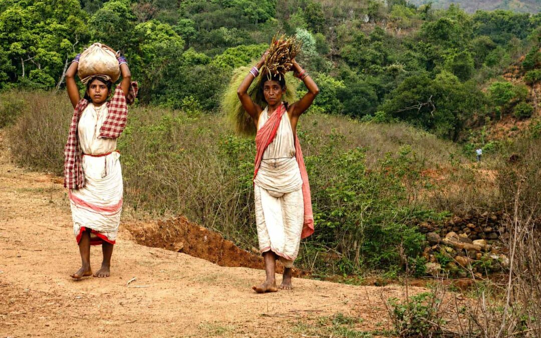 ଗୋଷ୍ଠୀ ଜଙ୍ଗଲ ସଂରକ୍ଷଣ: ପ୍ରମୁଖ ଆହ୍ୱାନ ଏବଂ ଆଗକୁ ବଢ଼ିବାର ରାସ୍ତା