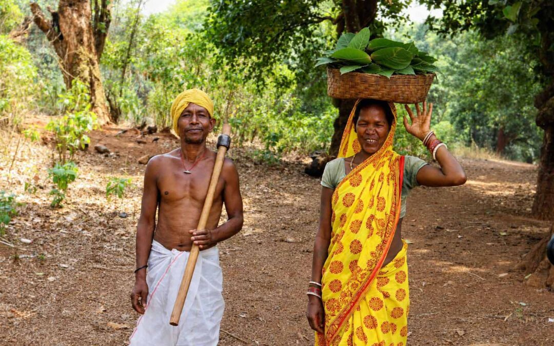 ଓଡ଼ିଶାରେ ଗୋଷ୍ଠୀଗତ ଜଙ୍ଗଲ ସଂରକ୍ଷଣ : ବର୍ତ୍ତମାନ ସ୍ଥିତି ଓ ଆହ୍ୱାନ